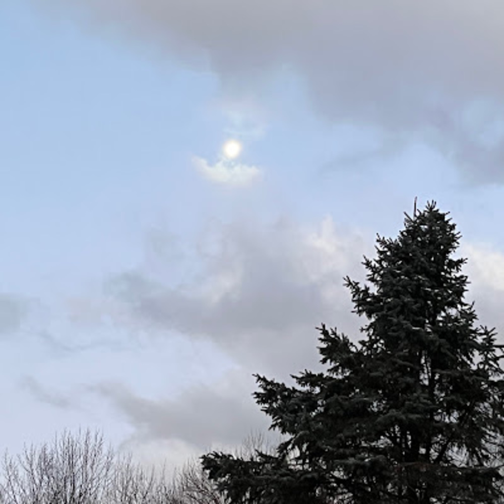 Meet your Posher, Isana